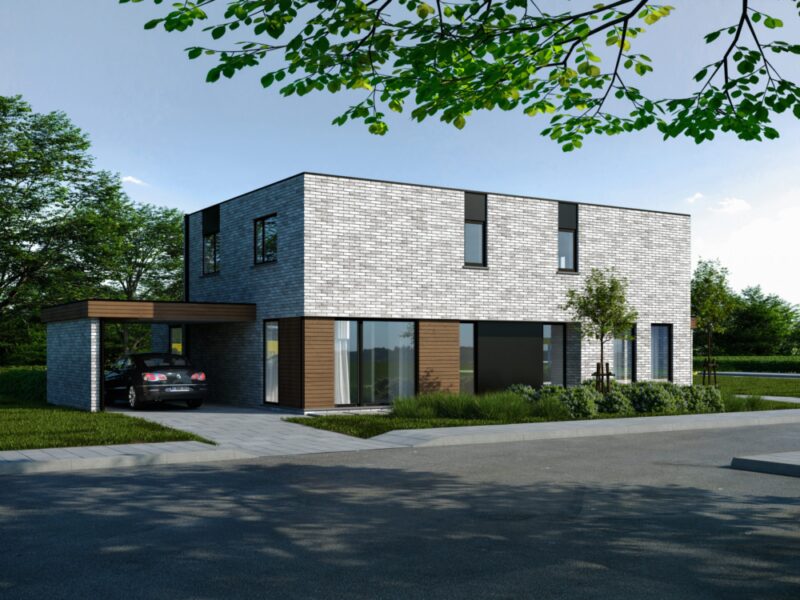 render project de groene savel
